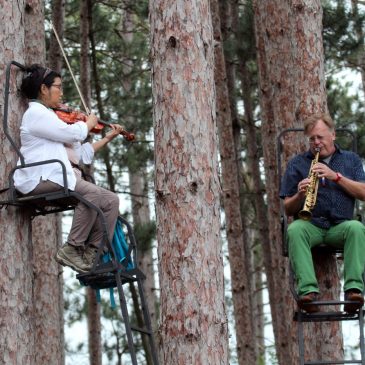 Music in the Trees returning to Belwin Conservancy in Afton