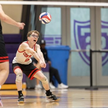 State volleyball: Central rallies to force fifth set but falls in quarterfinal