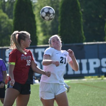 Wisconsin high school soccer: Pewaukee beats River Falls to reach state title game