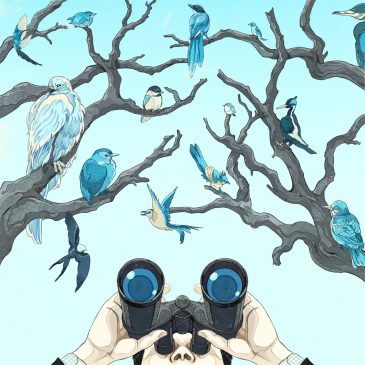 How to bird-watch: A traveler’s guide