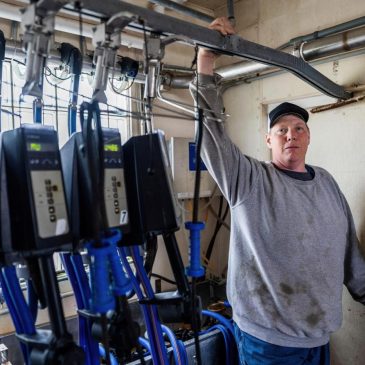Wisconsin dairy farmer sues Trump administration claiming discrimination against white farmers