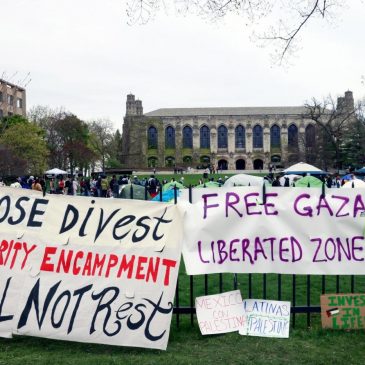 Shadi Bartsch: Committing to the Chicago Principles of free speech is the way forward for higher ed