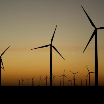 Support for solar energy and offshore wind falls among Democrats and independents, poll says