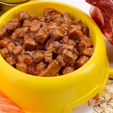 Best wet dog food for happy, healthy pups