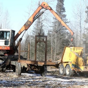 Trump administration wants to reopen logging in Superior National Forest