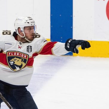 How Gophers alum Nate Schmidt ‘found his fun again’ as he helped energize Panthers