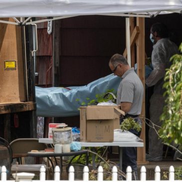 Forensic crime labs are buckling as new technology increases demand