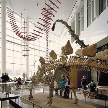 Science Museum of Minnesota lets go 43 people, downsizes by $7 million