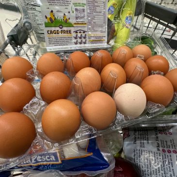 Trump administration sues California over egg prices and blames animal welfare laws