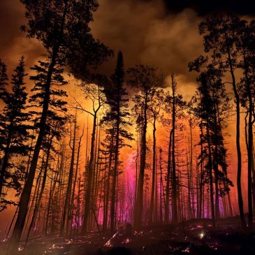 ‘Fire clouds’ over Arizona and Utah wildfires are creating their own erratic climate