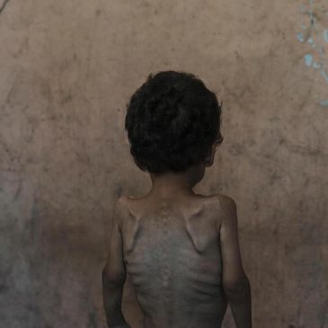 ‘Worst-case scenario of famine’ is happening in Gaza, food crisis experts warn