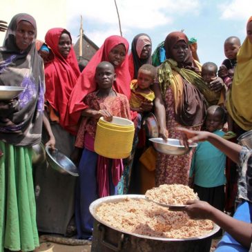 UN report reveals alarming rise in Africa’s food insecurity despite global improvements
