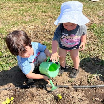 Let kids create their own garden, and other tips for instilling a love for growing things