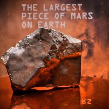Largest piece of Mars on Earth fetches meteoric $5.3 million at New York auction