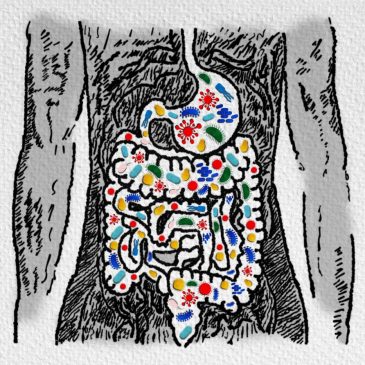 F.D. Flam: There’s a ‘double-edged sword’ in your stomach