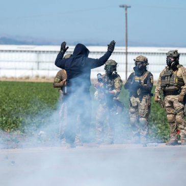 There are many illegal marijuana farms, but federal agents targeted California’s biggest legal one