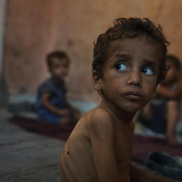 Democrats press Trump officials for ‘large-scale’ effort to address Gaza starvation