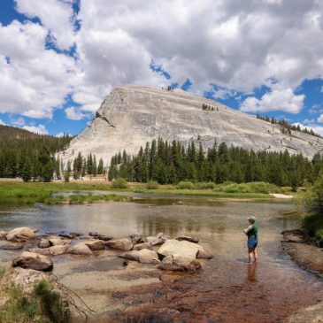 Largest campground at Yosemite National Park to reopen after $26 million renovation