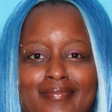 St. Paul police investigating two separate missing person cases