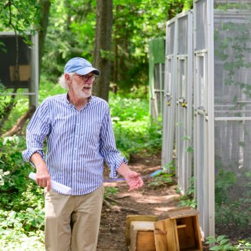 Roseville rehab opens new Washington County campus with more ‘space and quiet’ for recovering wildlife