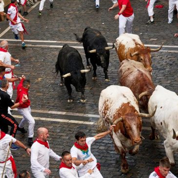 Daredevils run with charging bulls at Pamplona’s famous San Fermín festival