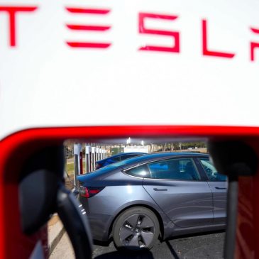 Tesla profit plunges in latest quarter as Musk’s turn to politics continues to keep buyers away