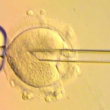 Healthy babies born in Britain after scientists used DNA from three people to avoid genetic disease