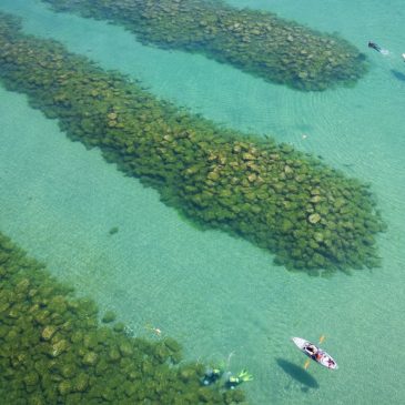 Can artificial reefs in Lake Michigan slow erosion and boost fish population? Researchers aim to find out.
