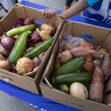 Opinion: Congress Eliminated SNAP-Ed. Here’s What it Will Mean for New Yorkers. 