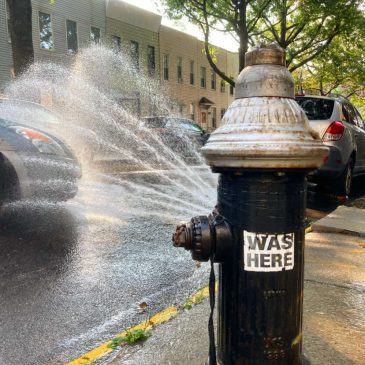 Opinion: It’s Time for NYC to Appoint a Heat Czar