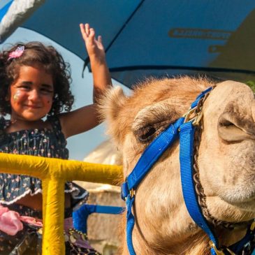 Camel rides, live music and kebabs: Middle Eastern Festival in West St. Paul this weekend