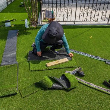 Fake grass is greener but is it worse for the environment? Florida a new testing ground
