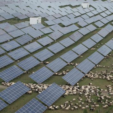 China rushes to build out solar, and emissions edge downward