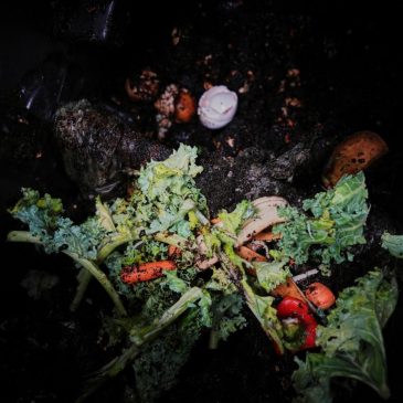Composting helps the planet. This is how to do it, no matter where you live