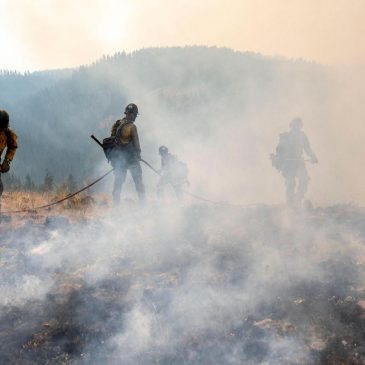 Lawyer: Oregon firefighter arrested by Border Patrol during wildfire was on track for legal status