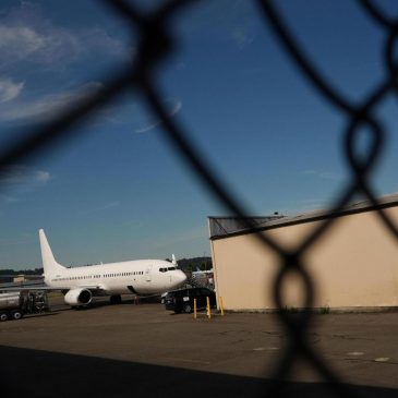 US deportation flights hit record highs as carriers try to hide the planes, advocates say