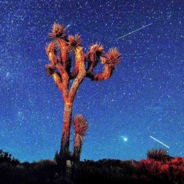 Perseid meteor shower: How and when to watch