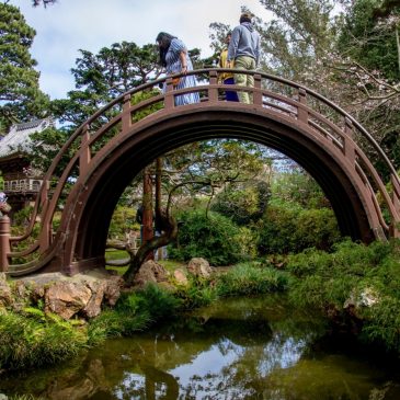 What are America’s best cities for sober traveling?