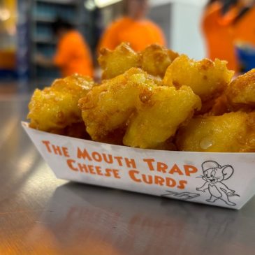 Every deep-fried cheese curd on the State Fairgrounds, ranked in 13 graphs
