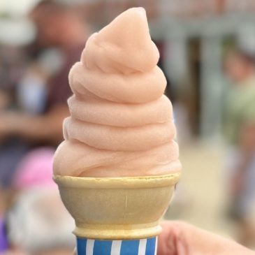 So much fruit, so little beer-flavored beer. The Minnesota State Fair’s 2025 new beverages, reviewed