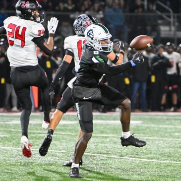 High School Football: Metro East subdistrict preview — are Forest Lake and Mounds View on top again?