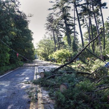 Minnesota falls short of qualifying for FEMA funding after devastating Beltrami County storm