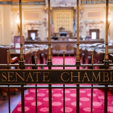 Tuesday primary to pick DFL nominee for former Sen. Nicole Mitchell’s seat