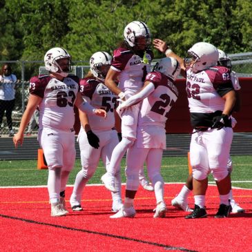 High School Football: St. Paul public school team previews