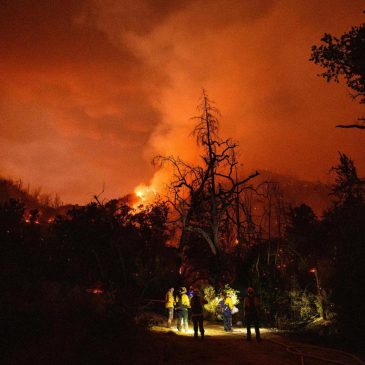 Firefighters question leaders’ role in Washington immigration raid