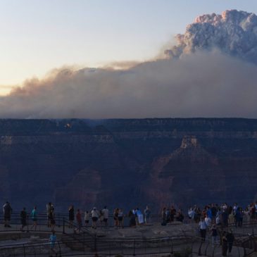 Grand Canyon National Park will reopen portions of North Rim after destructive wildfire subsides