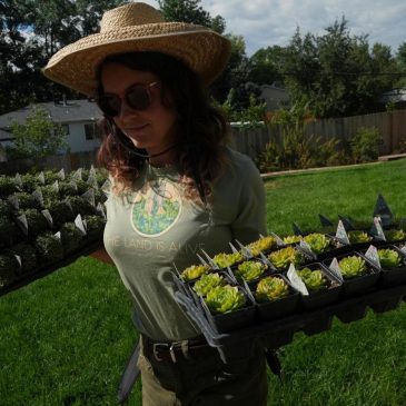 Move over, green lawns. Drier, warmer climate boosts interest in low-water landscaping