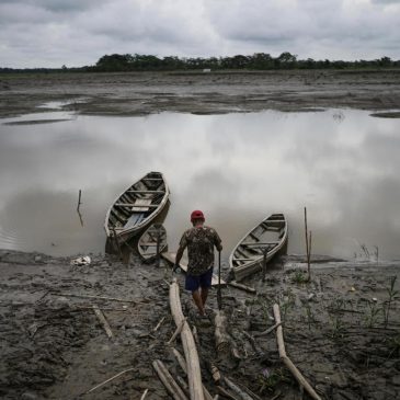 Well-preserved Amazon rainforest on Indigenous lands can protect people from diseases, study finds