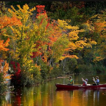 Day and night get equal billing Monday as fall equinox arrives. Here’s what to know