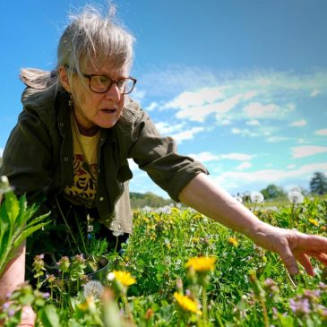 Foraging revival: How wild food enthusiasts are reconnecting with nature